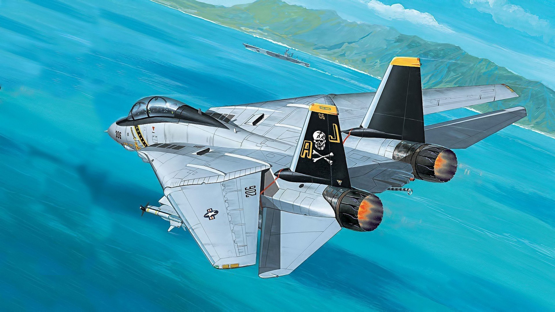 painting, Aircraft, Grumman F 14 Tomcat Wallpaper