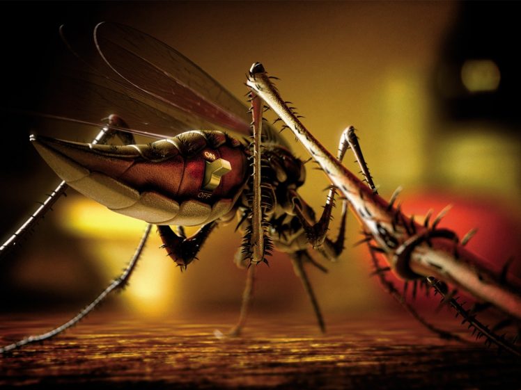 mosquitos, Machine, Macro, Fly HD Wallpaper Desktop Background