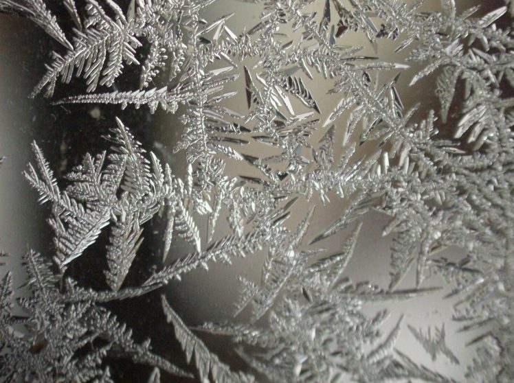 cold, Ice,  frostwork, Window HD Wallpaper Desktop Background