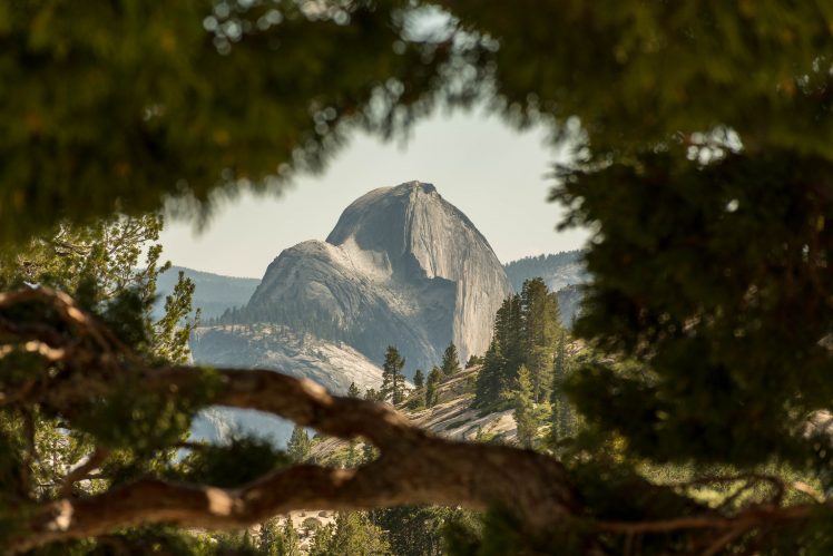 Half Dome, Yosemite National Park, California, USA HD Wallpaper Desktop Background