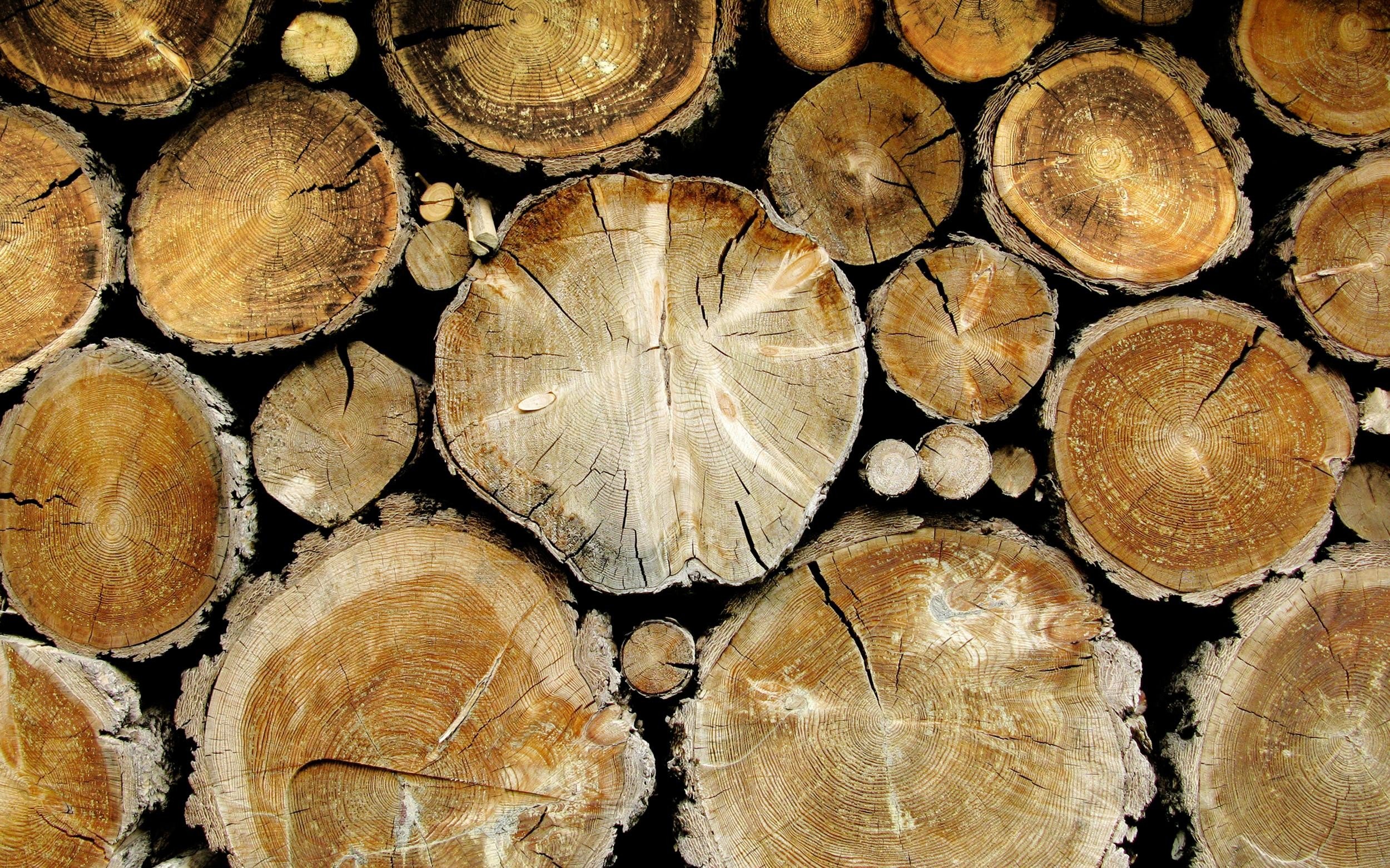wood, Log Wallpaper