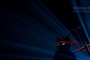 cat, Windows 10, Green, Red, Blue, Dark, Black, Windows 10 Anniversary