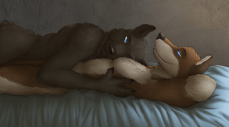 hugging, Anthro, Blue eyes, In bed, Lying on back, Furry, Wolf HD Wallpaper Desktop Background