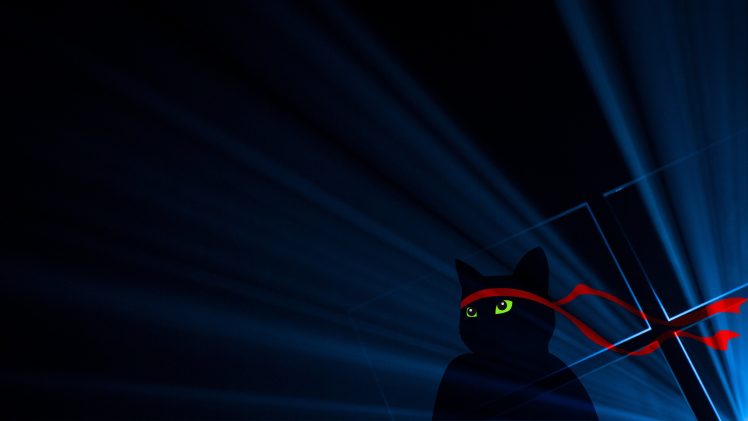Windows 10, Windows 10 Anniversary, Ninja Cat HD Wallpaper Desktop Background