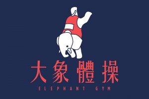 music, Album covers, Elephant Gym