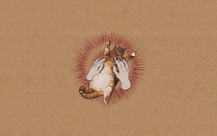 music, Godspeed You! Black Emperor, Album covers, Cat, Parody HD Wallpaper Desktop Background