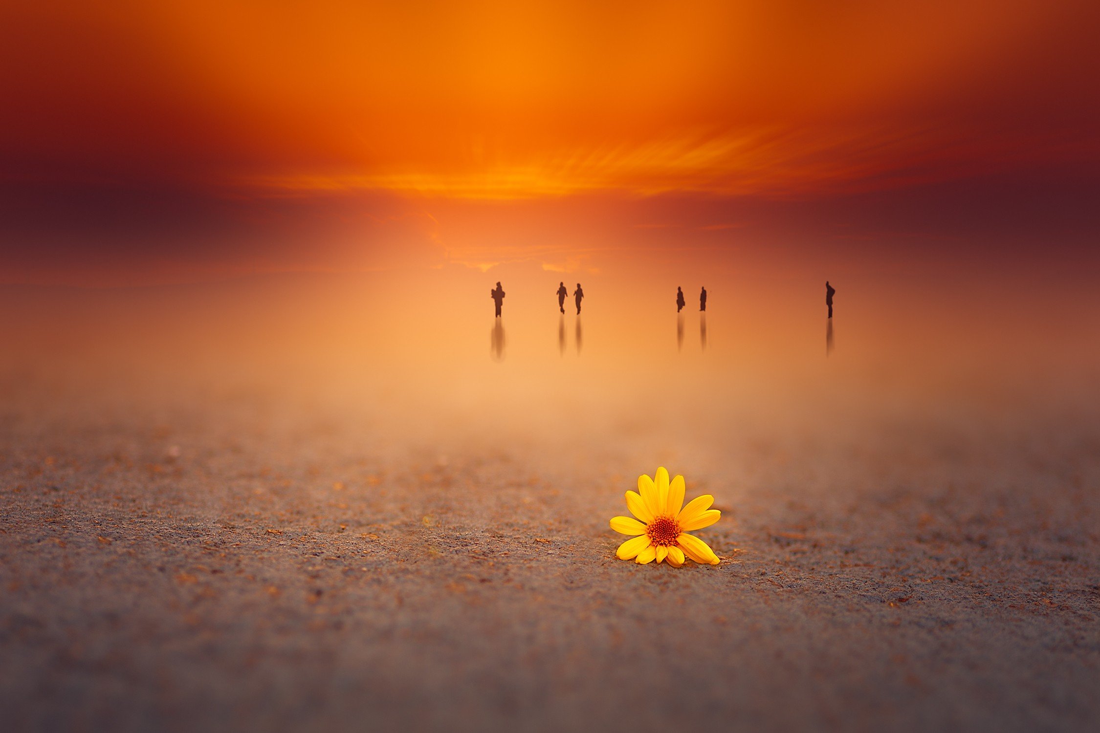 people Wallpaper