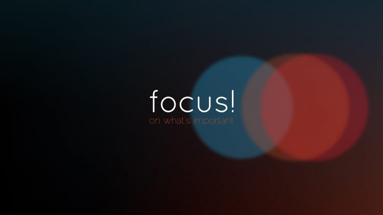 Focus download the new