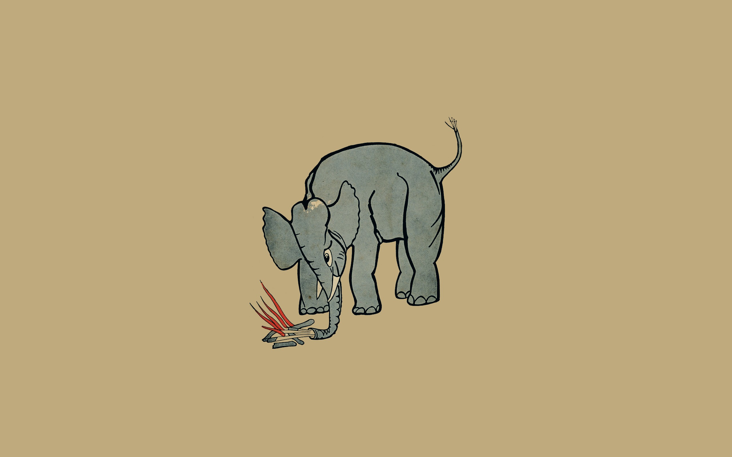 album covers, Mount Eerie (Band), Music, Elephant, Minimalism, Campfire Wallpaper