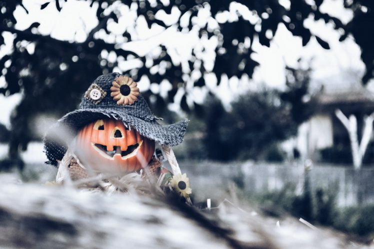 Halloween, Pumpkin HD Wallpaper Desktop Background