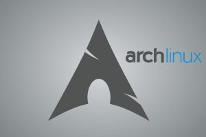 Arch Linux, Browser