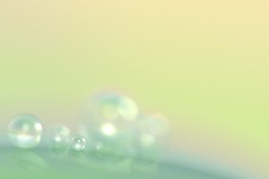 macro, Bubbles