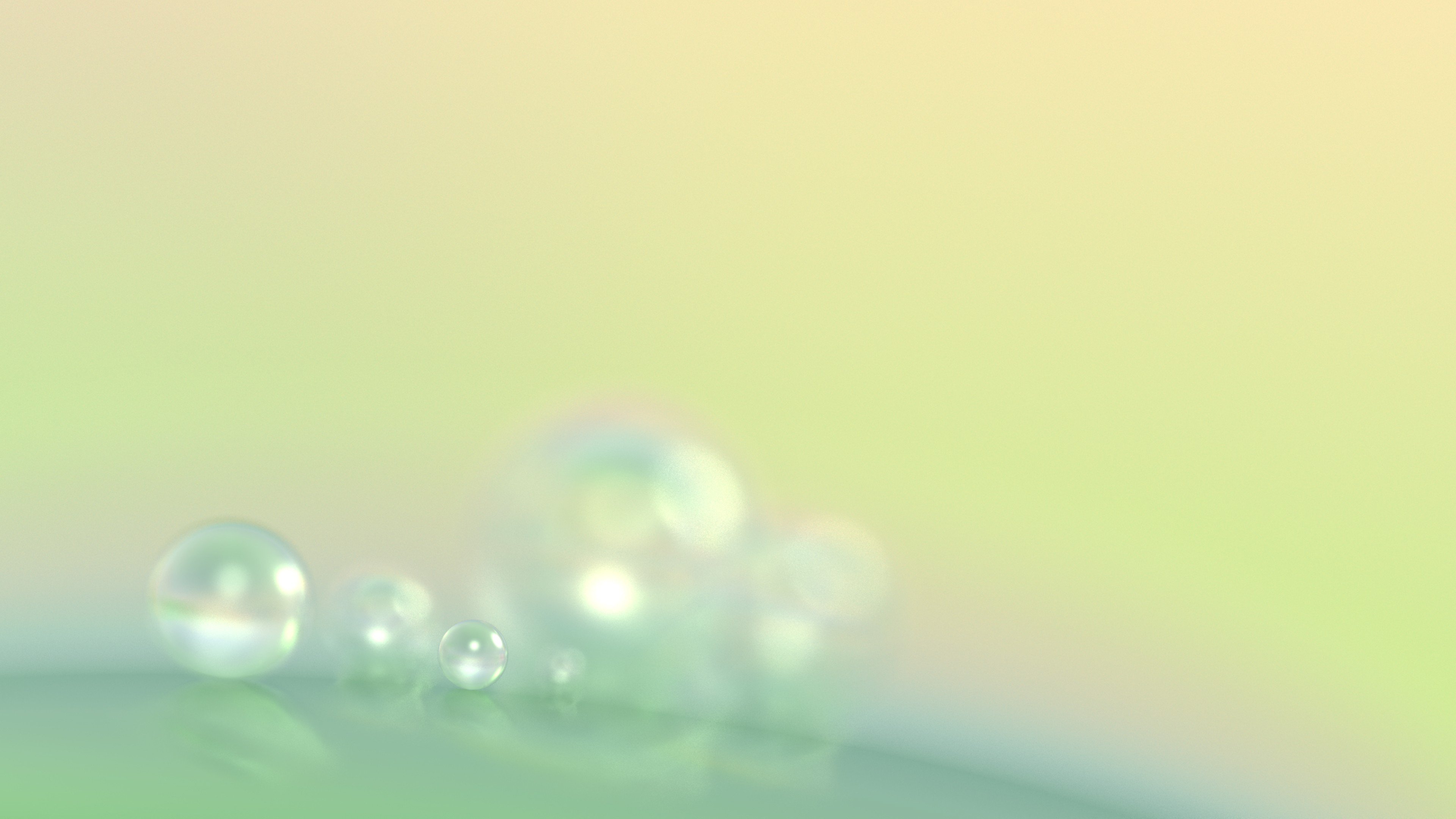 macro, Bubbles Wallpaper