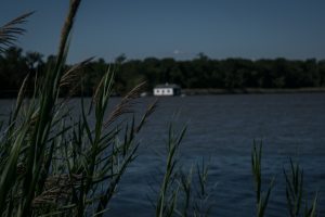 river, Reeds