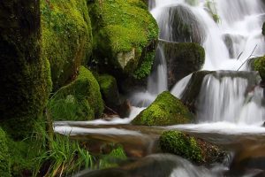 photography, Waterfall, Moss