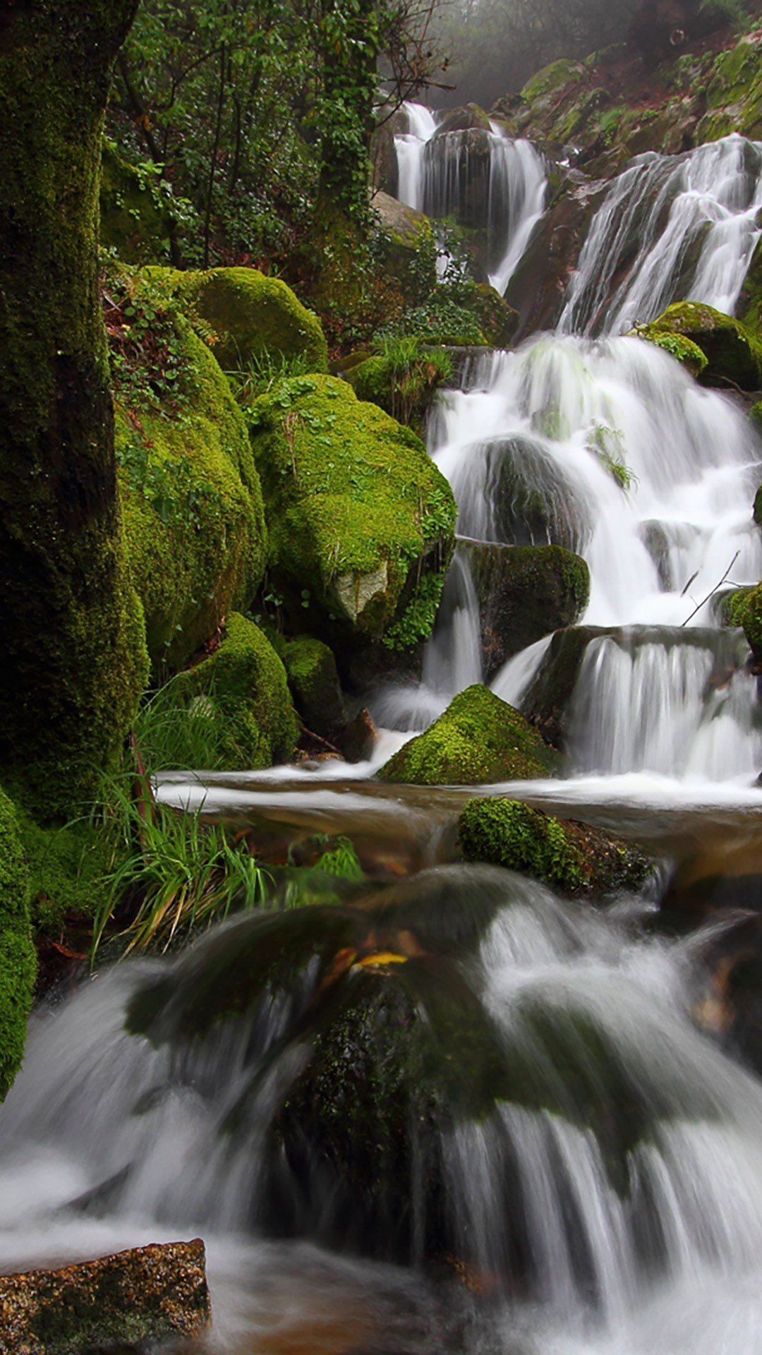 photography, Waterfall, Moss Wallpaper