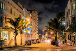 street, Palm trees, Night