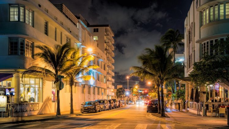 street, Palm trees, Night HD Wallpaper Desktop Background