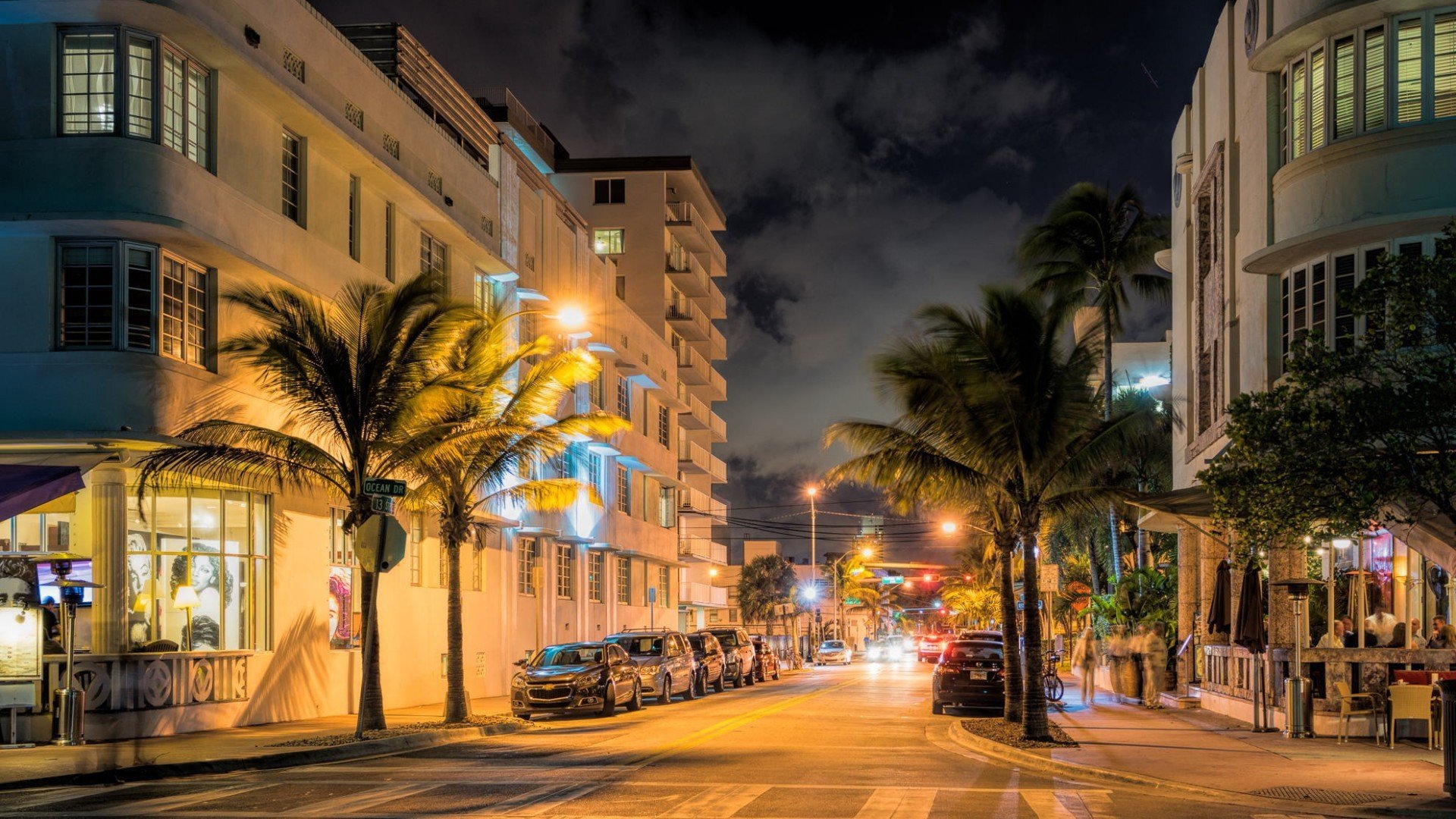 street, Palm trees, Night Wallpaper