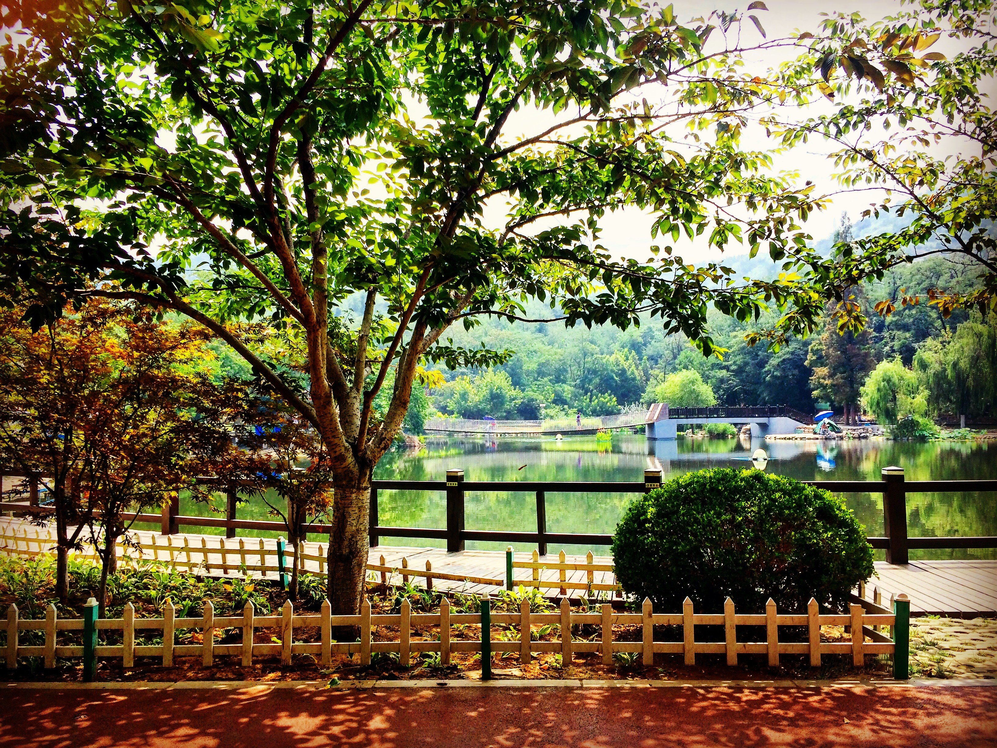 Linhai Road, Dalian Wallpaper