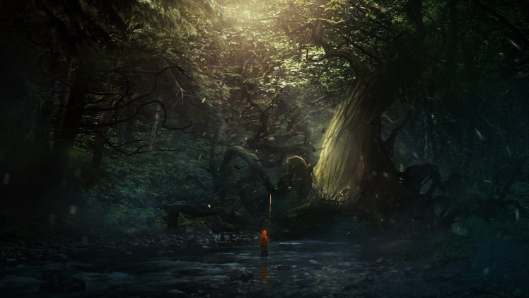 trees, River, Rock HD Wallpaper Desktop Background