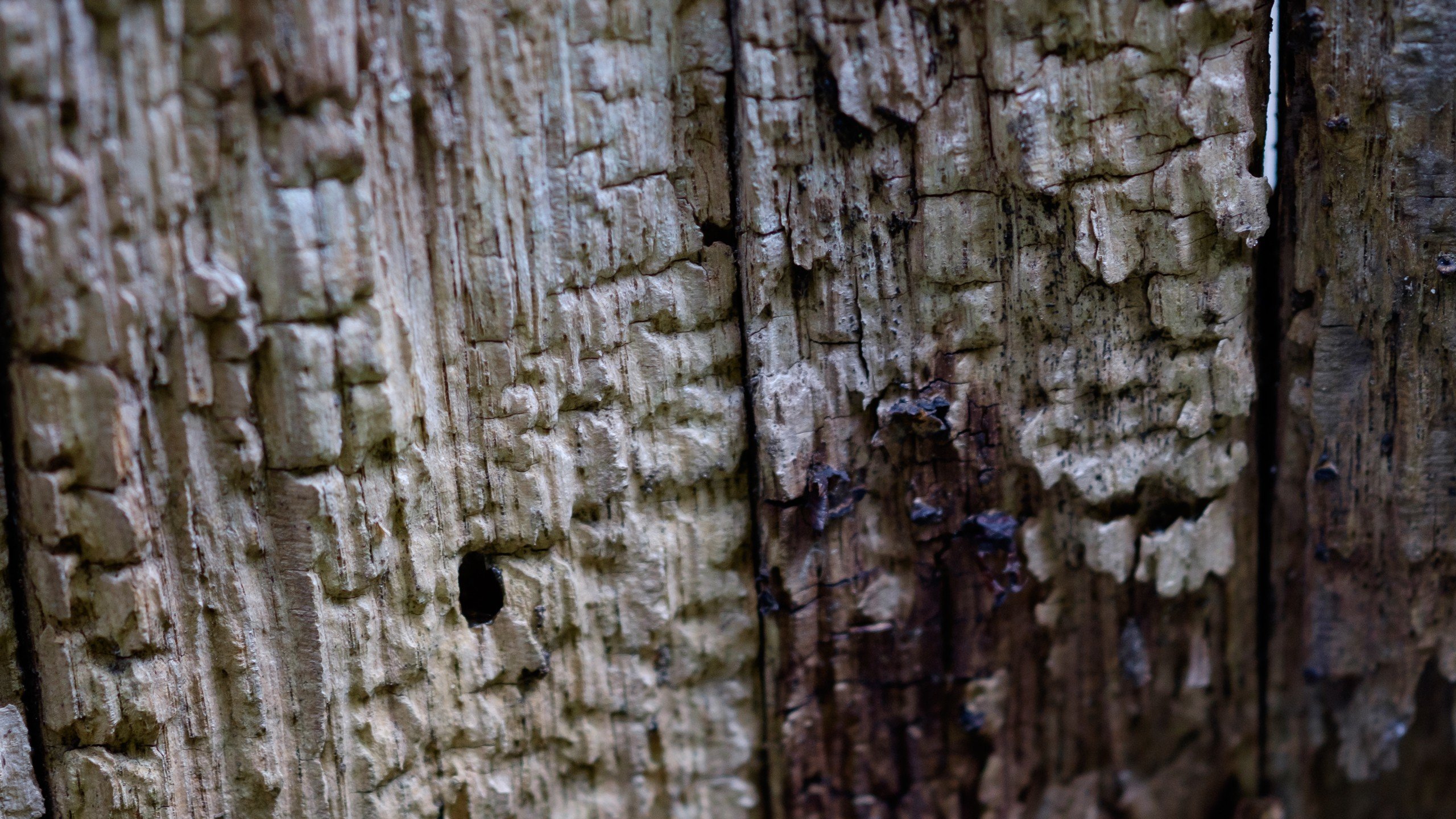 wood, Texture, Photography, Macro Wallpaper