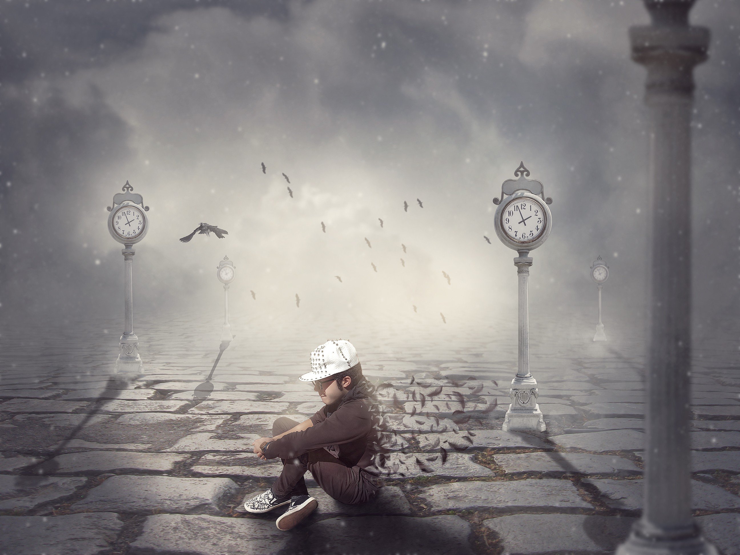 watch, Raven, Mist, Feathers, Ground, Dispersion Wallpaper