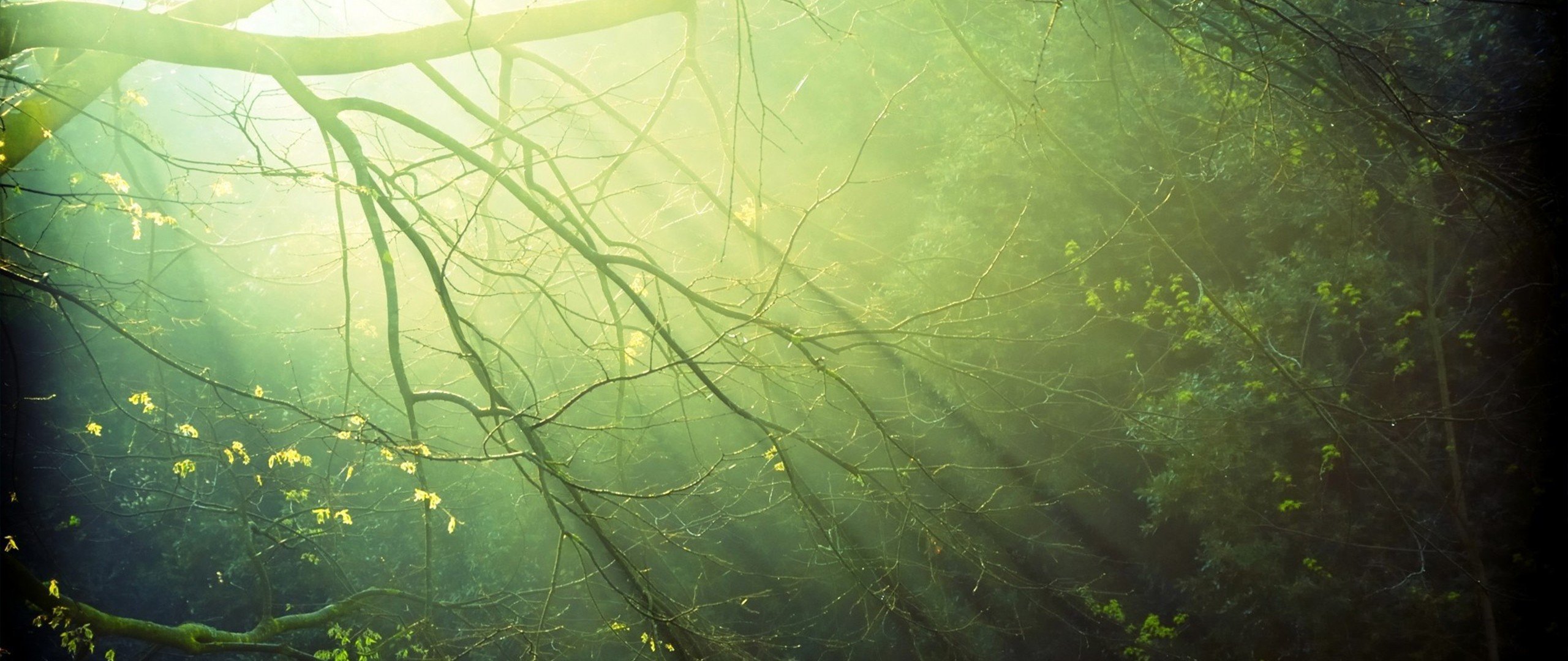 ultra wide, Photography Wallpapers HD / Desktop and Mobile