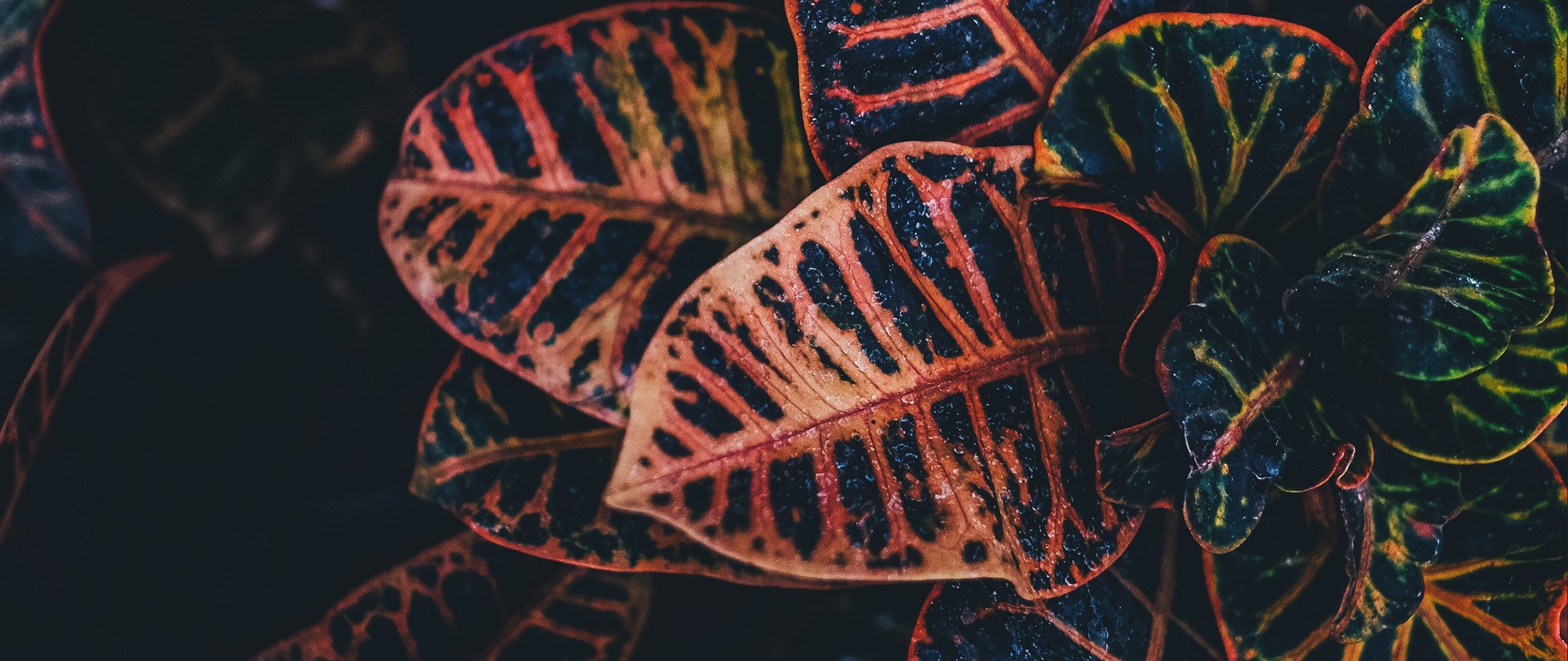 ultra wide, Photography Wallpaper