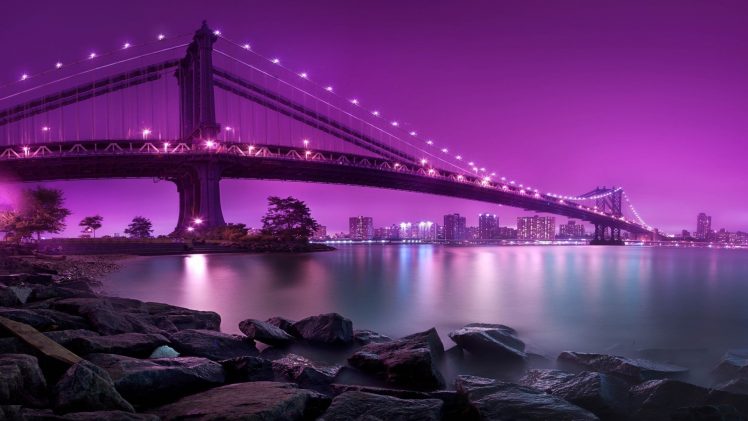 cityscape, Bridge HD Wallpaper Desktop Background