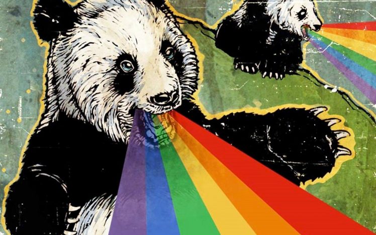 panda, Rainbows HD Wallpaper Desktop Background
