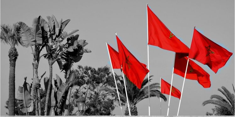 Morocco, Flag, Red, Selective coloring HD Wallpaper Desktop Background