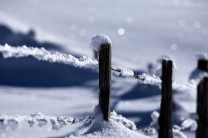 snow, Fence