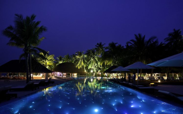 palm trees, Swimming pool, Night HD Wallpaper Desktop Background