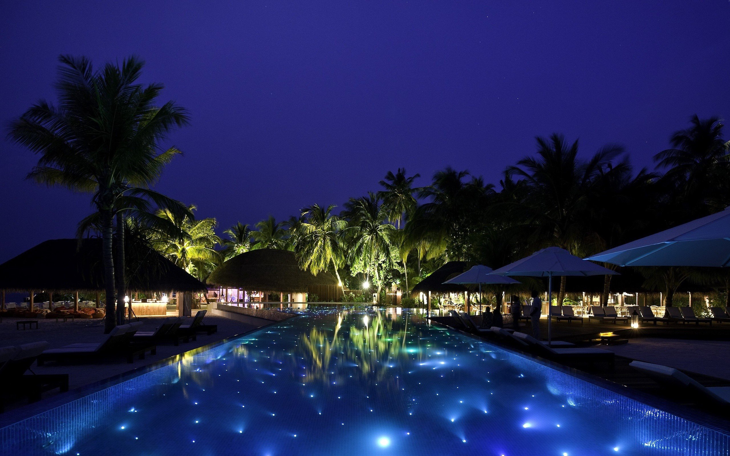 palm trees, Swimming pool, Night Wallpaper