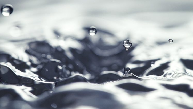 water drops, Macro, Water HD Wallpaper Desktop Background