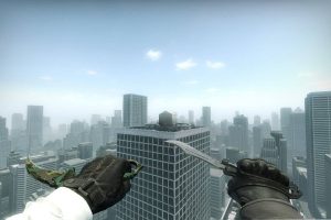 Counter Strike: Global Offensive, Butterfly knives