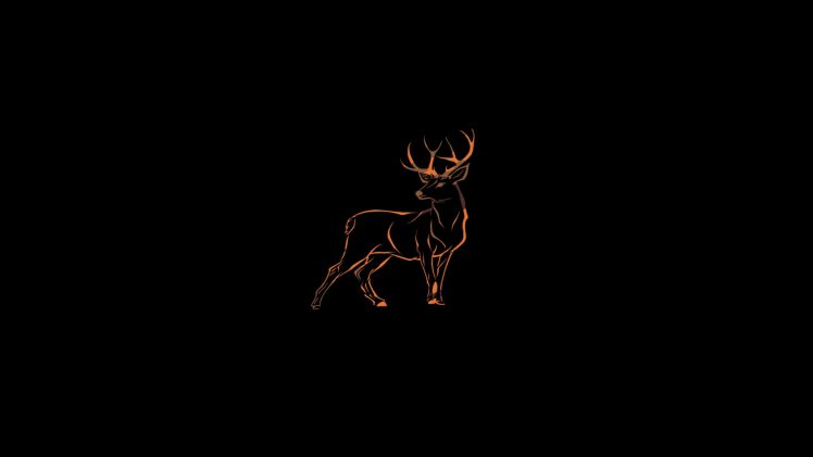 deer, Wildlife HD Wallpaper Desktop Background