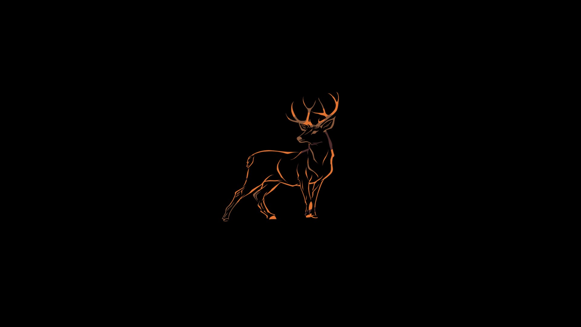 deer, Wildlife Wallpaper