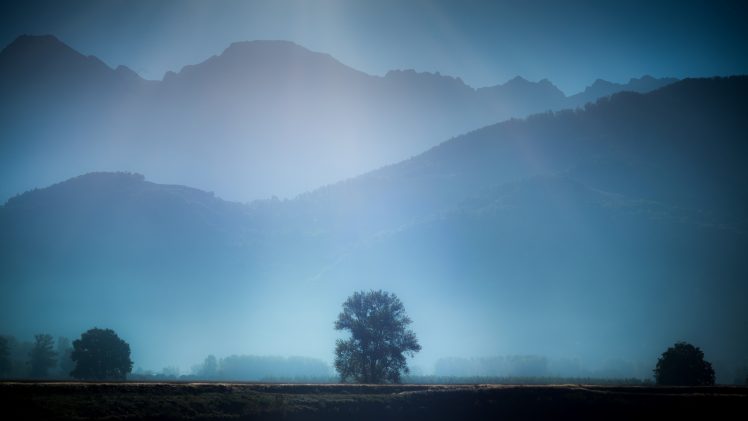 mist, Trees HD Wallpaper Desktop Background