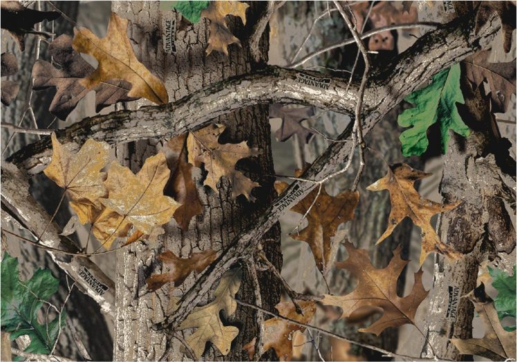 camouflage, Woodland Camouflage, Wallenstein Ais HD Wallpaper Desktop Background
