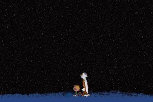 Calvin and Hobbes, Cartoon
