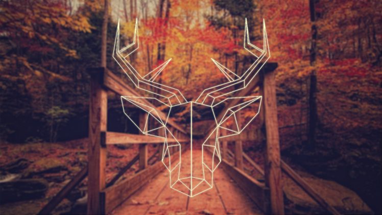 fall, Deer, Polygon art, Hipster Photography, Simple HD Wallpaper Desktop Background