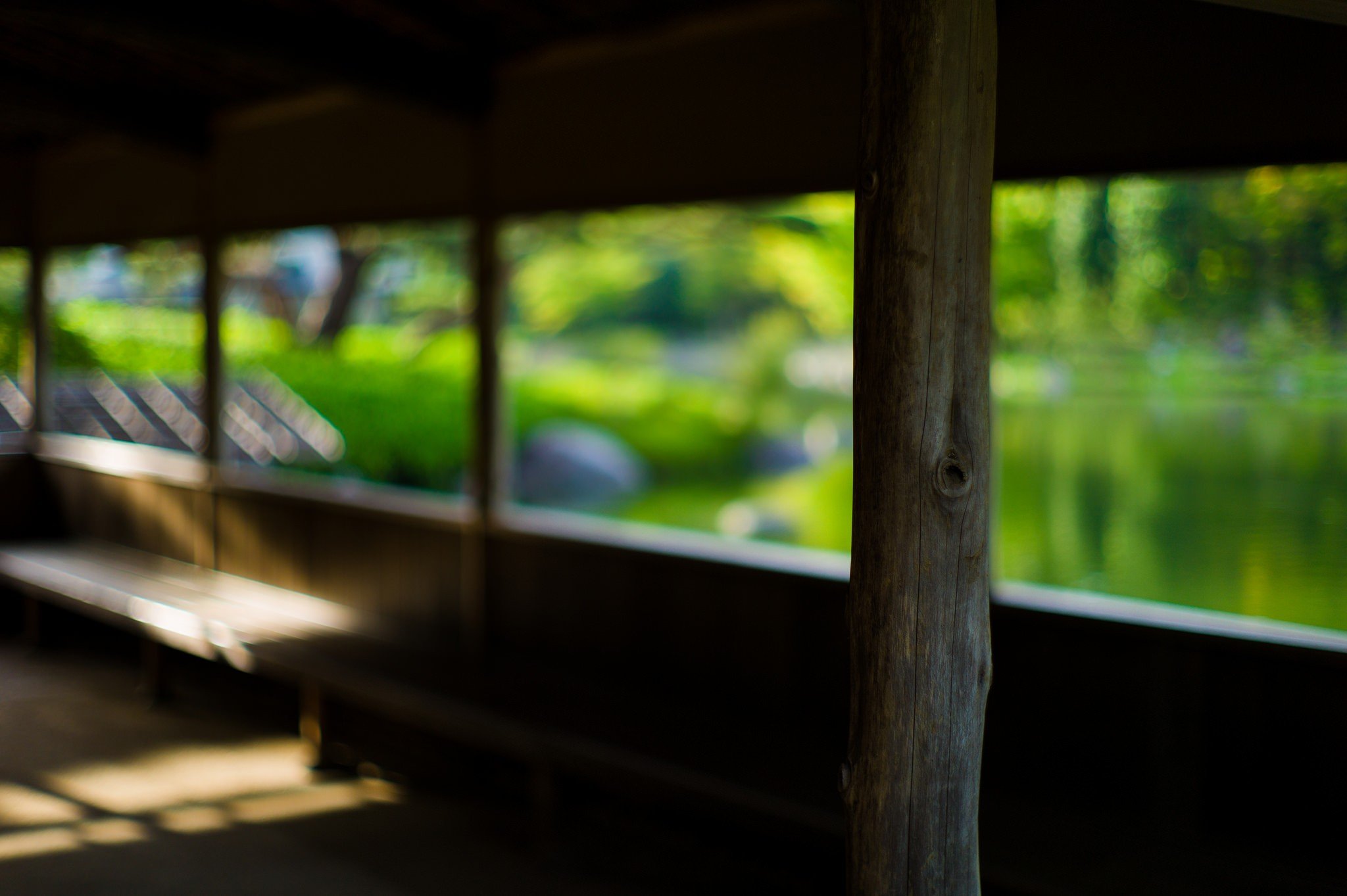 wood, Depth of field, Bokeh, Sunlight Wallpaper