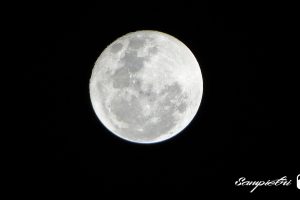 moon rays, Moon