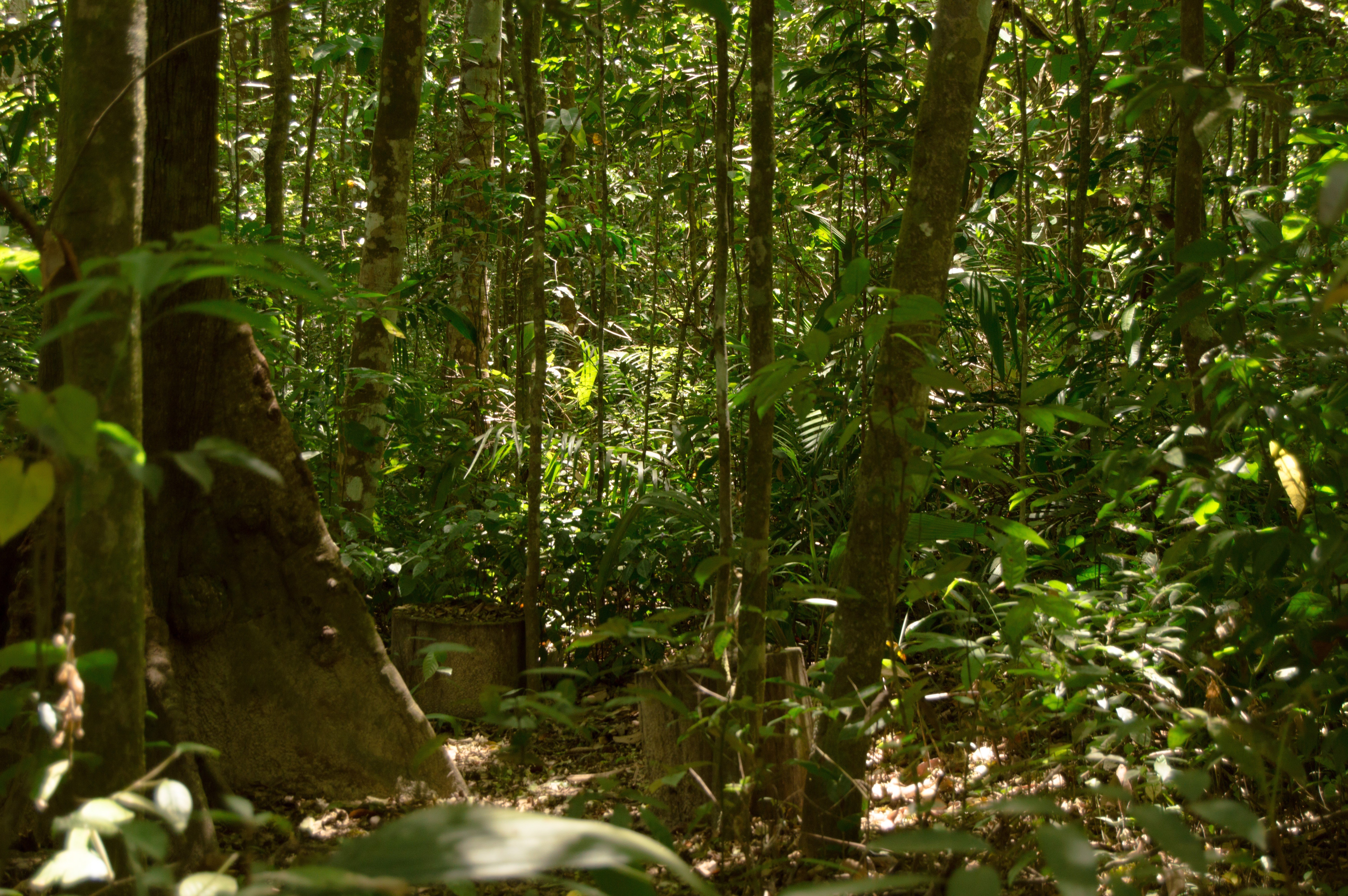 Brazil, Ceará Wallpaper