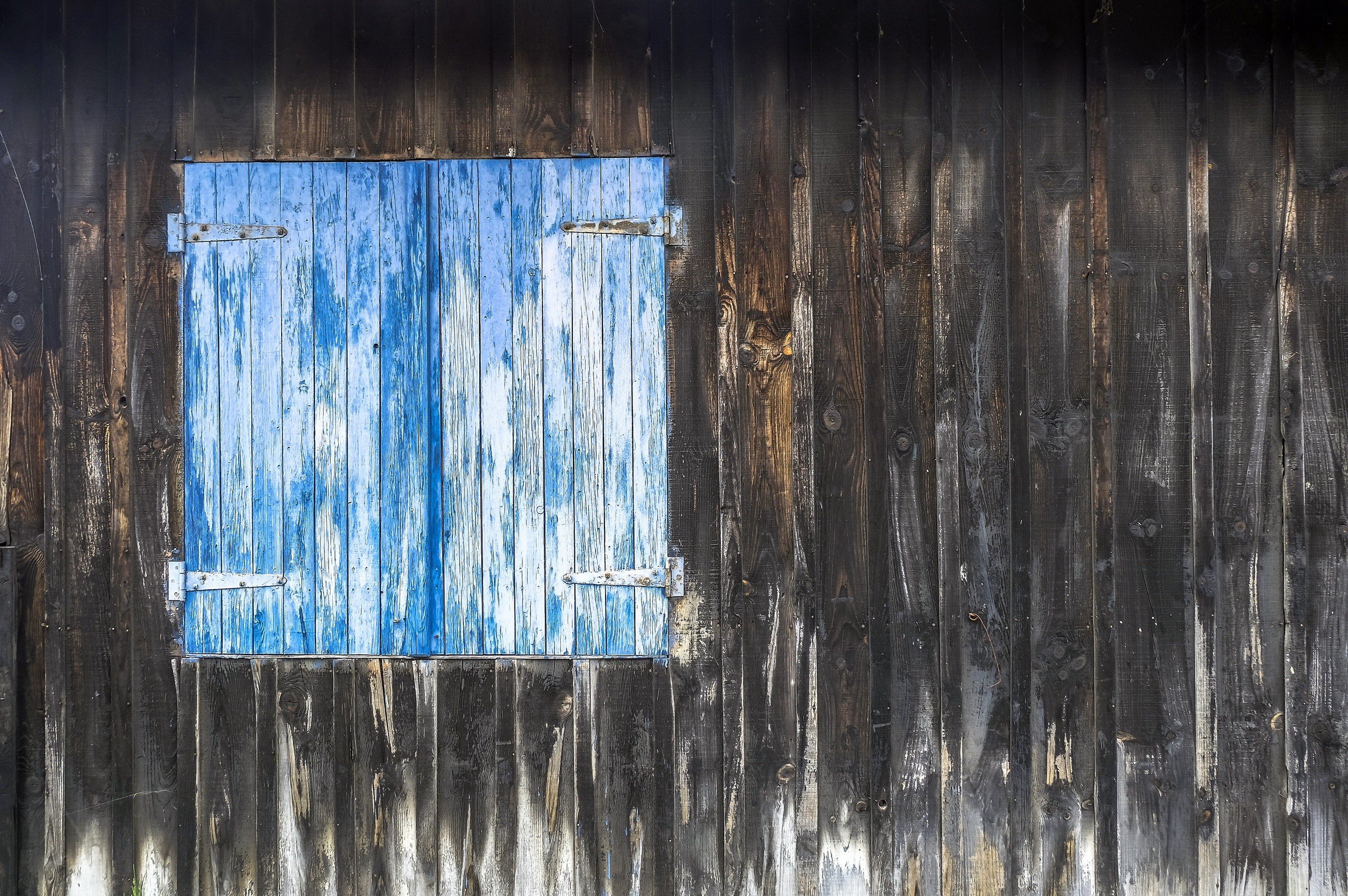 wood, Blue Wallpaper