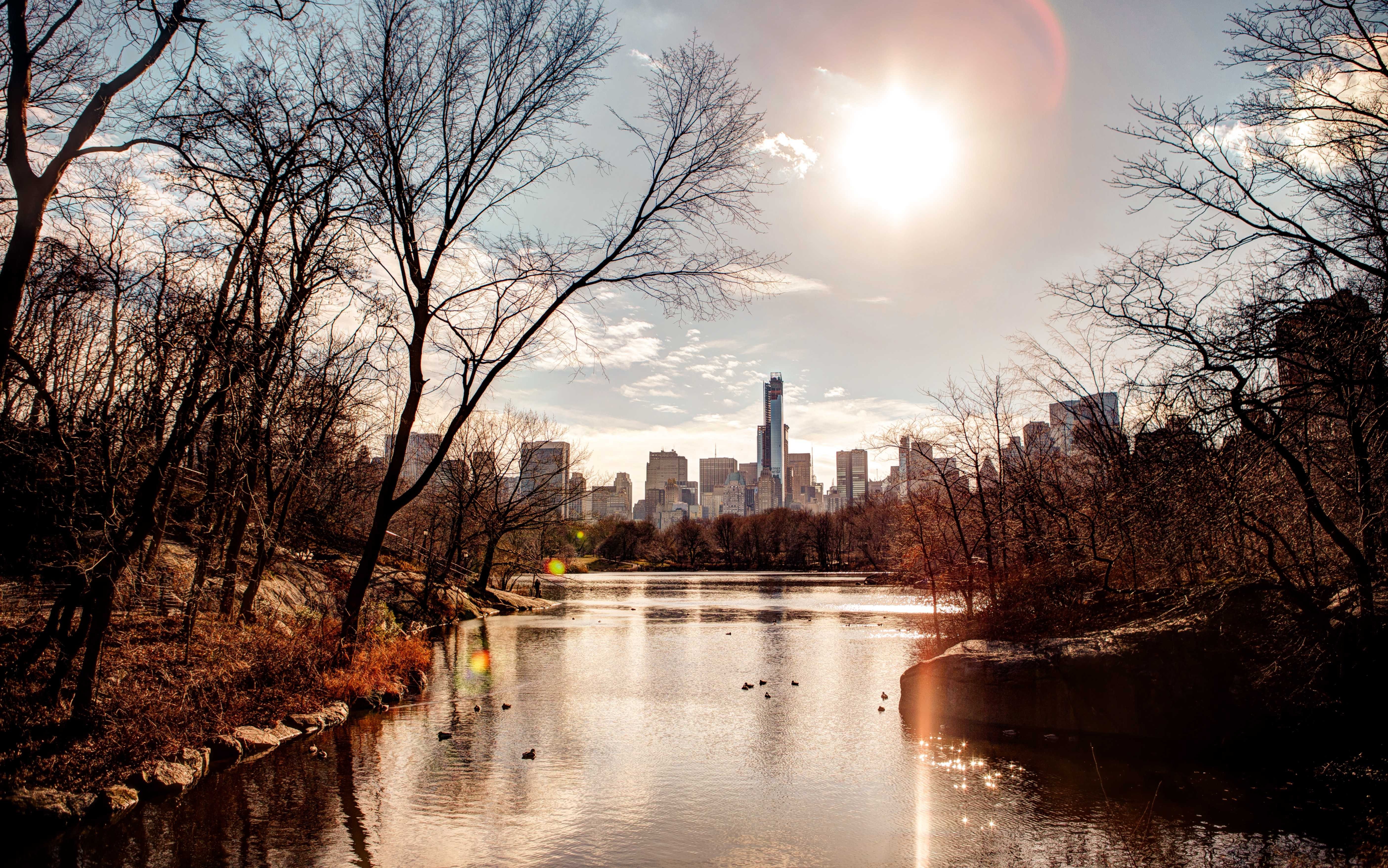 park, Water, River, Sun, City Wallpaper