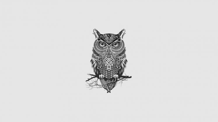 owl, Minimalism, Tattoo, Monochrome HD Wallpaper Desktop Background