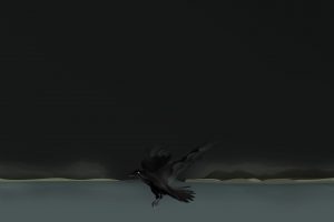 raven, Polar night